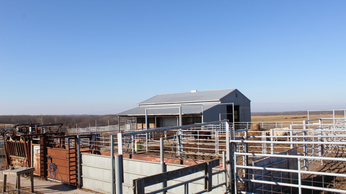 Working Cattle Ranch For Sale in Central MO UC Ranches