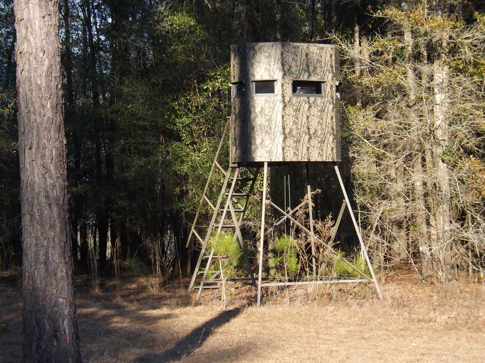 Alabama Ranches for Sale Premier Ranch Real Estate UC Ranch Properties