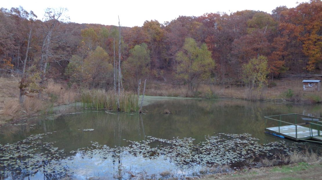 Cattle Ranch with Recreational Land For Sale in Northwest AR UC Ranches