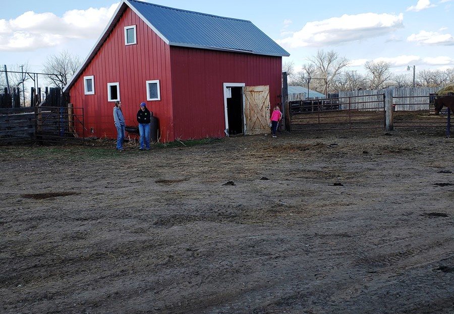 Exclusive Live Water Cattle Ranch For Sale in Northern MT UC Ranches