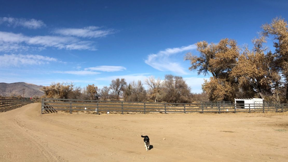 Horse Ranch with Water Rights For Sale in Western Nevada UC Ranches