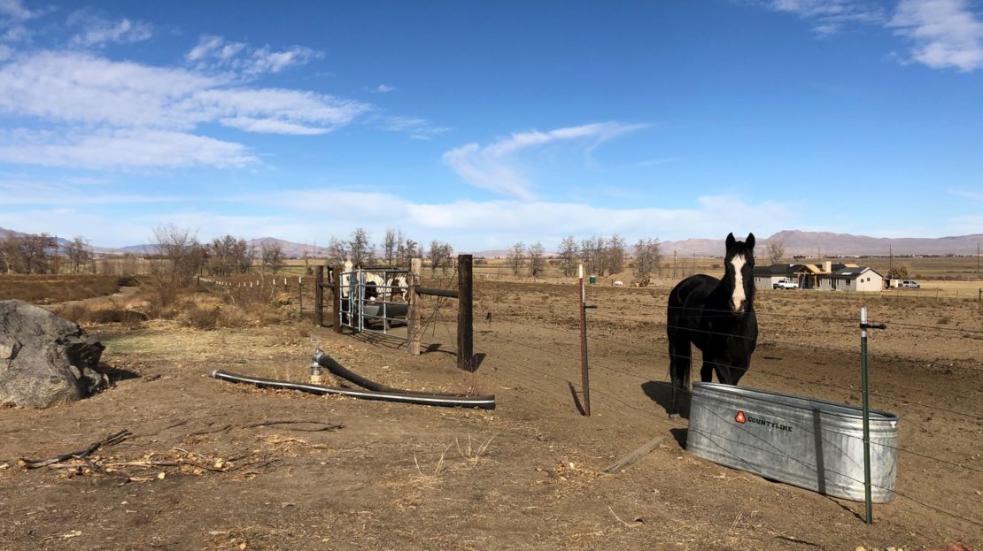 Horse Ranch with Water Rights For Sale in Western Nevada UC Ranches