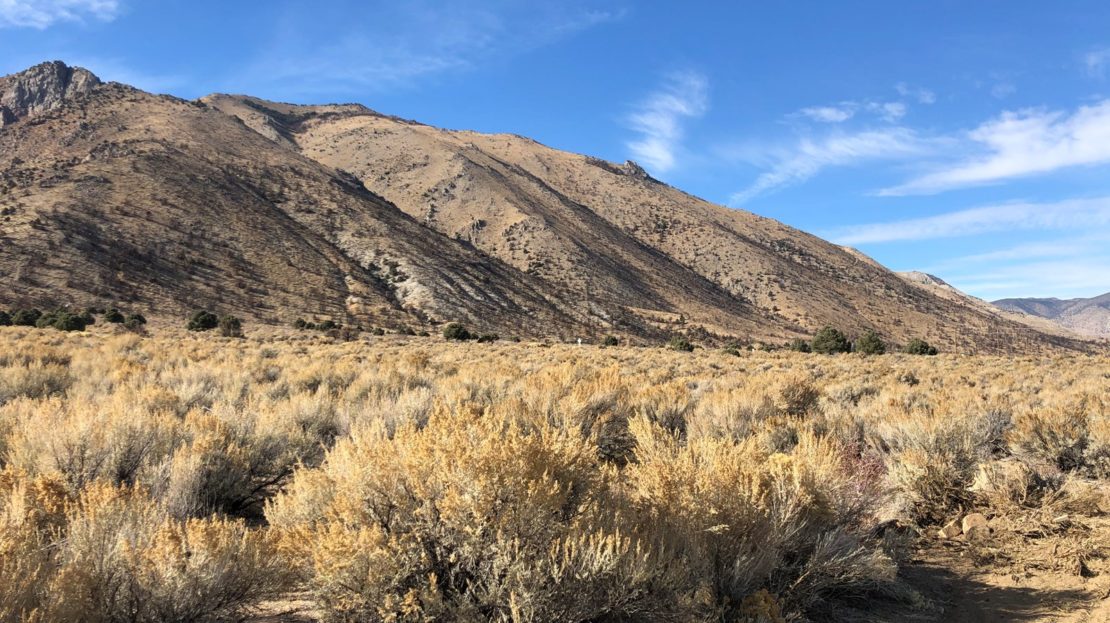 Horse Ranch with Water Rights For Sale in Western Nevada UC Ranches