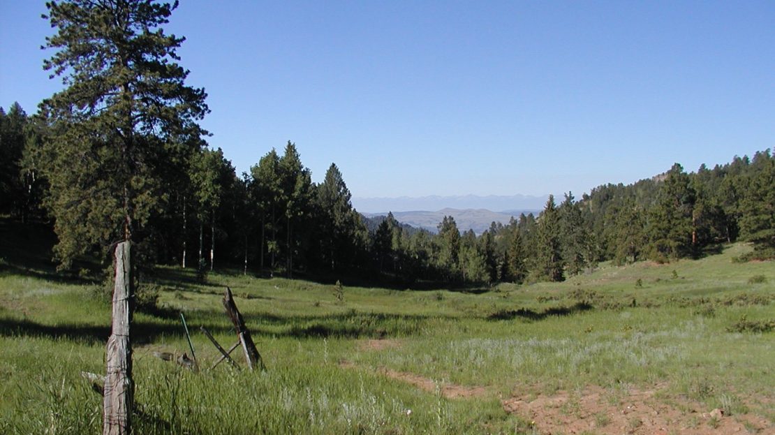Hunting & Recreational Ranch For Sale in Teller County, CO UC Ranches
