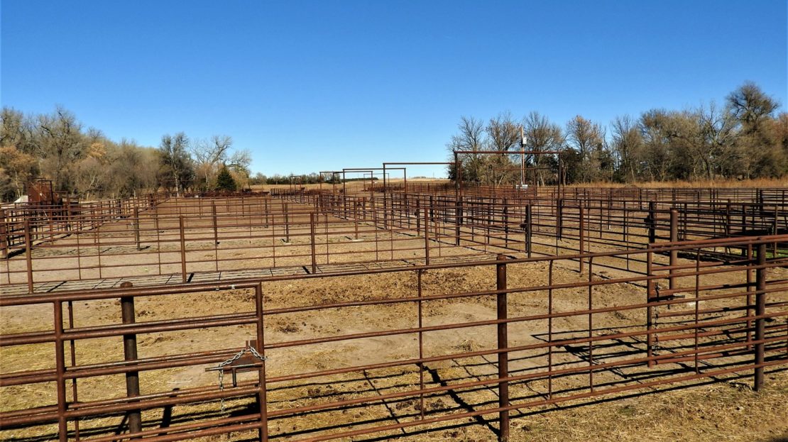 Purebred Cattle Ranch & Feedlot For Sale in Rock County, NE UC Ranches