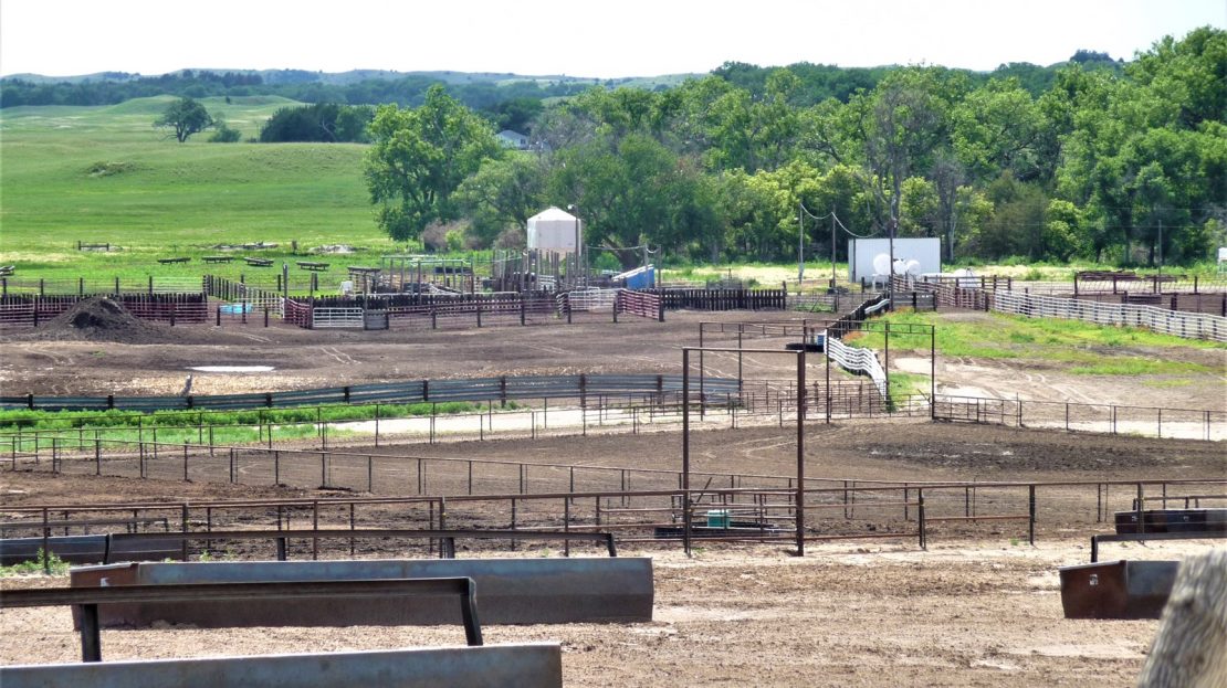 homes for sale on north territorial rd