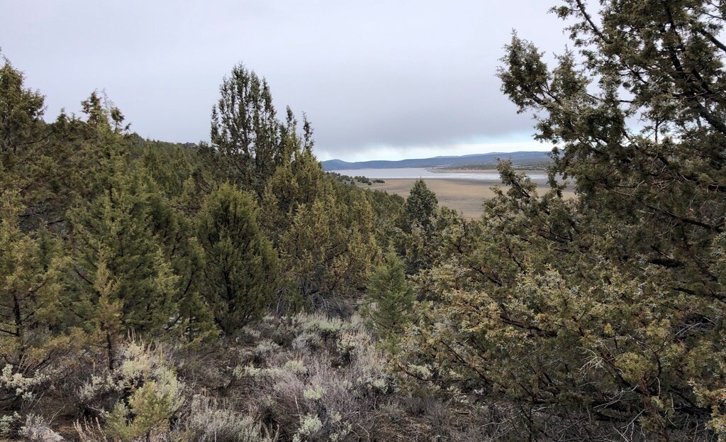 Washoe County, NV Land For Sale - 11