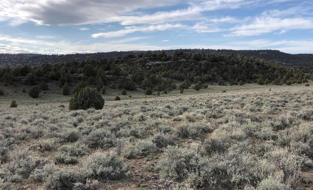 Washoe County, NV Land For Sale - 17