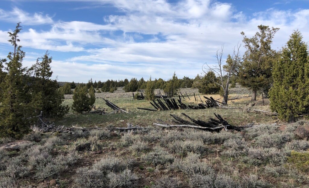 Washoe County, NV Land For Sale - 21