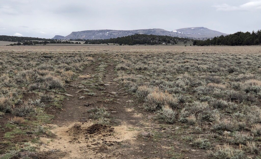 Washoe County, NV Land For Sale - 22