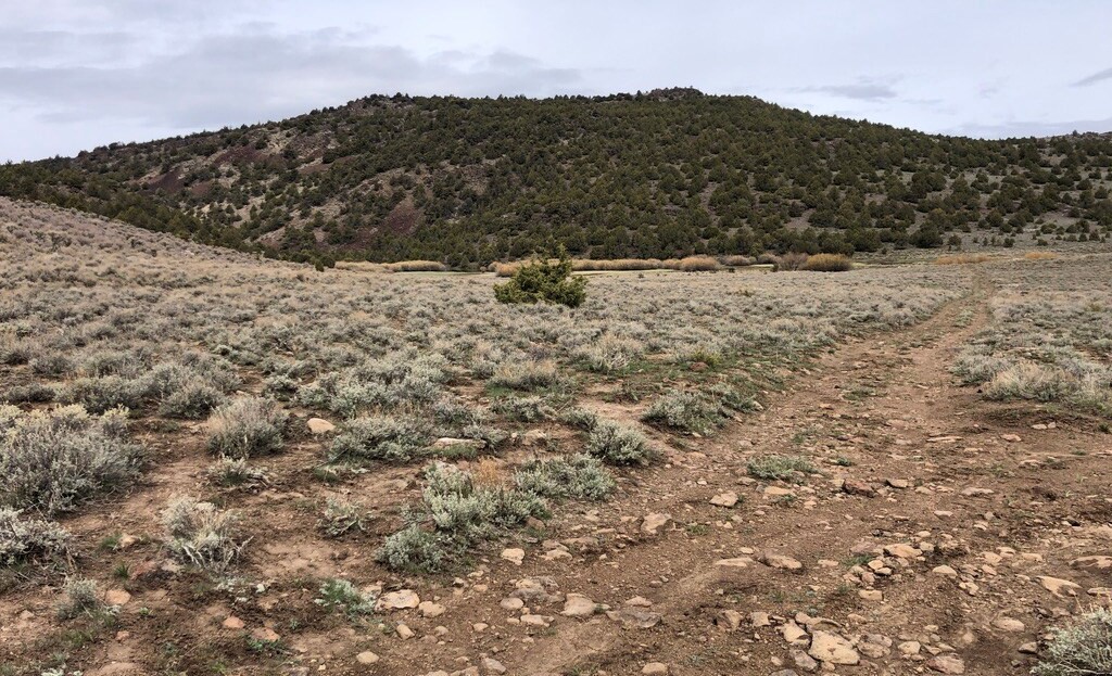 Washoe County, NV Land For Sale - 23