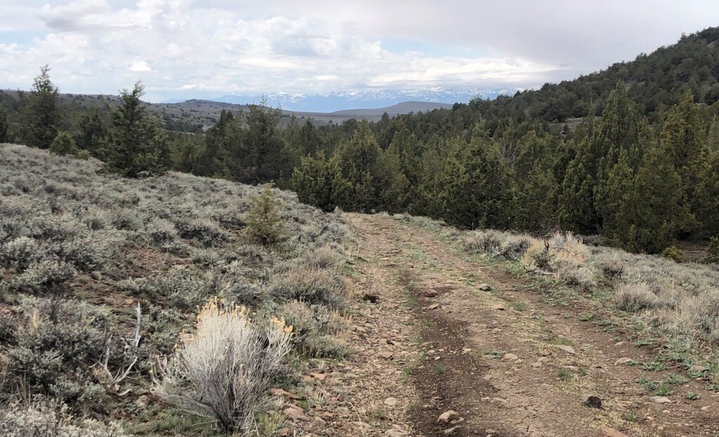 Washoe County, NV Land For Sale - 24