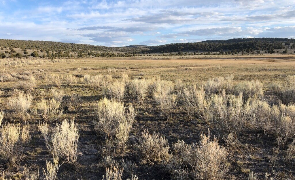 Washoe County, NV Land For Sale - 9