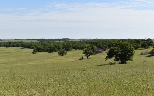 1 - Caddo County, OK - Farm and Ranch with Land