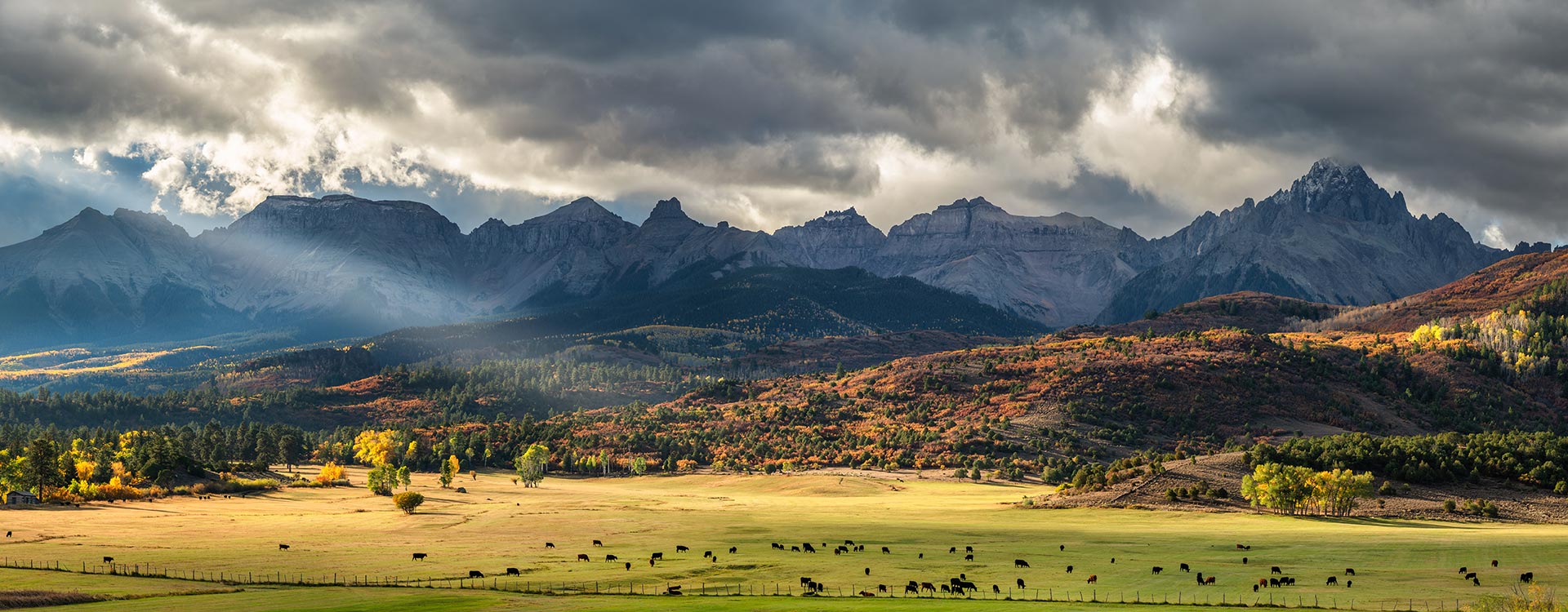 Large open range with cows and beautiful mountains in the distance