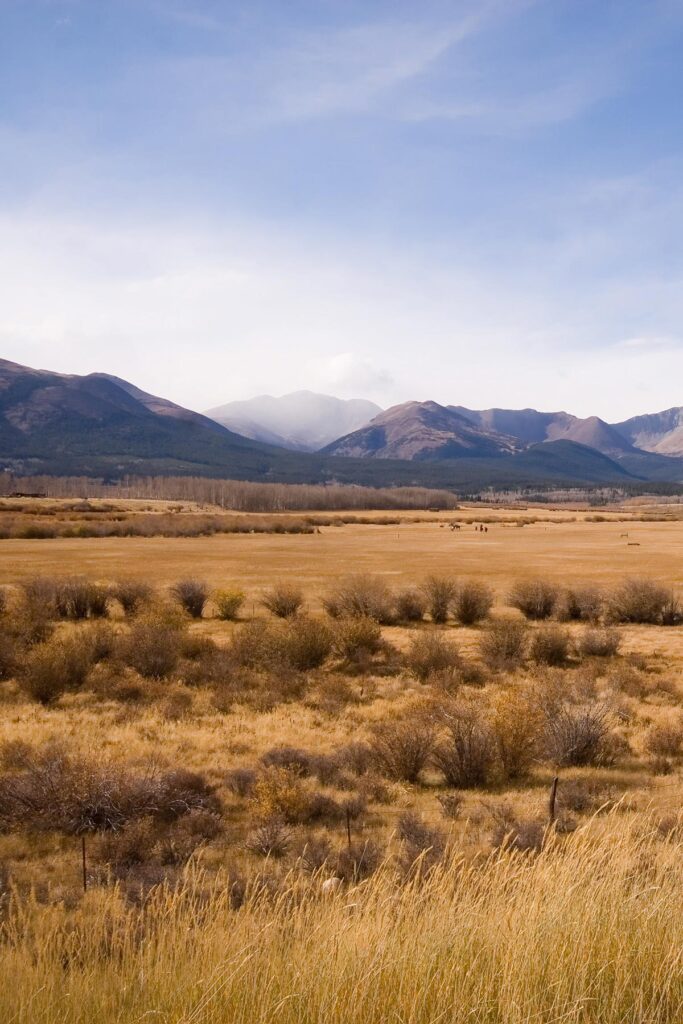 Landscape of a mountain of a featured ranches for sale
