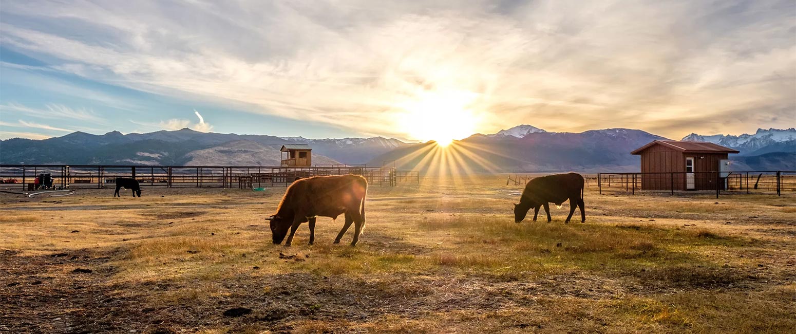 Best Places to Own a Ranch in the US