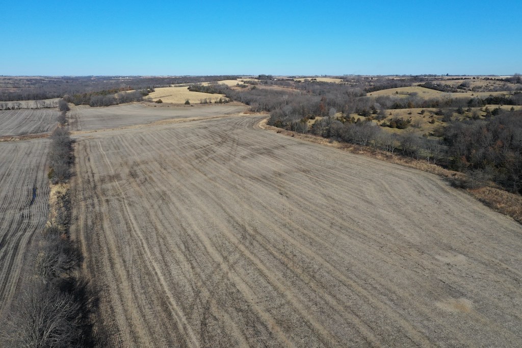 CRP Farm & Trophy Hunting Land For Sale in Ringgold County