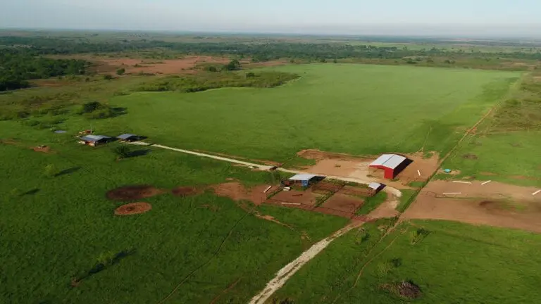 Cattle Ranch & Hunting Land For Sale in Montague County