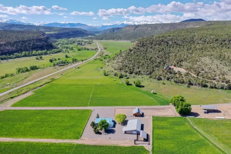 Outstanding Horse Ranch in the Mountains For Sale in Montrose
