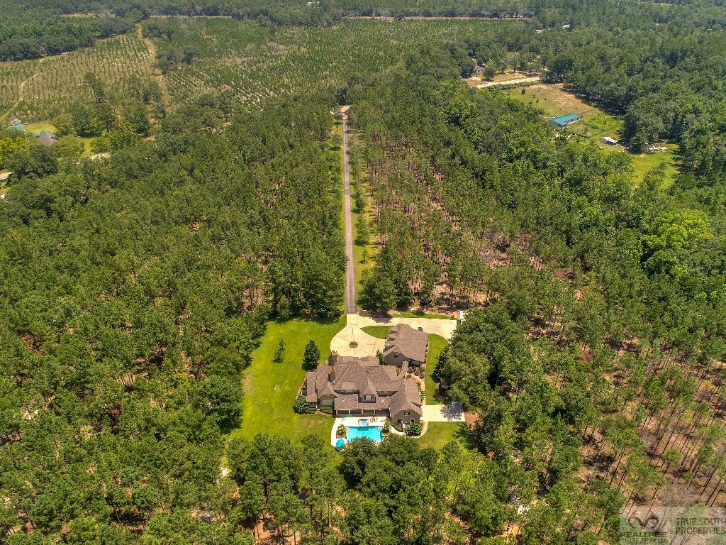 Luxury Estate & Recreational Land For Sale in Southeast SC