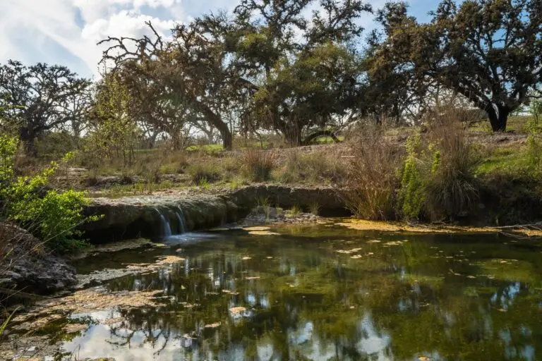 Outstanding Live Water Cattle Ranch For Sale in Southwest TX