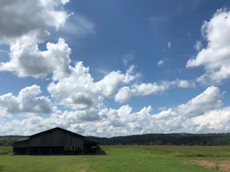 Riverfront Farm & Ranch For Sale in Hawkins County