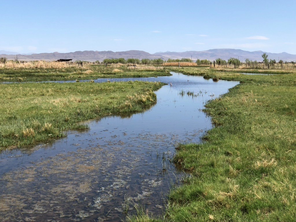Waterfowl Hunting & Cattle Ranch For Sale in Fallon