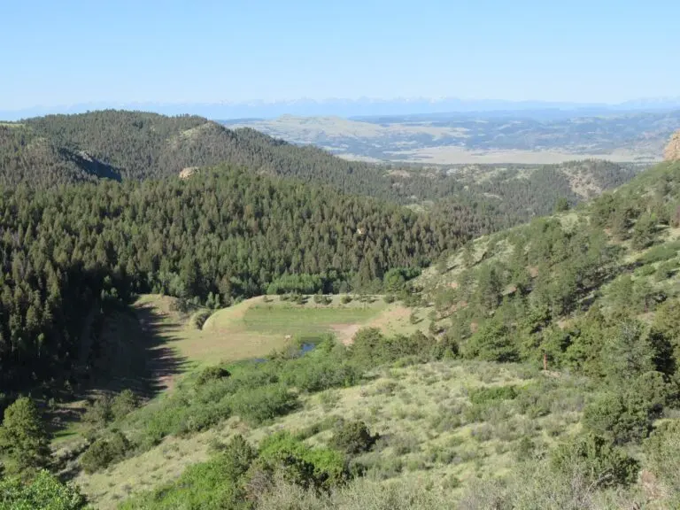 Hunting & Recreational Ranch For Sale in Teller County