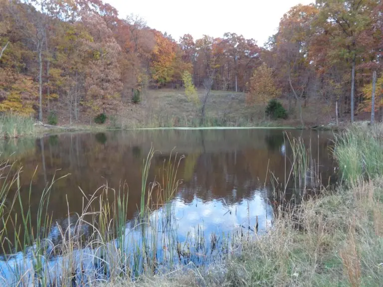 Cattle Ranch with Recreational Land For Sale in Northwest AR