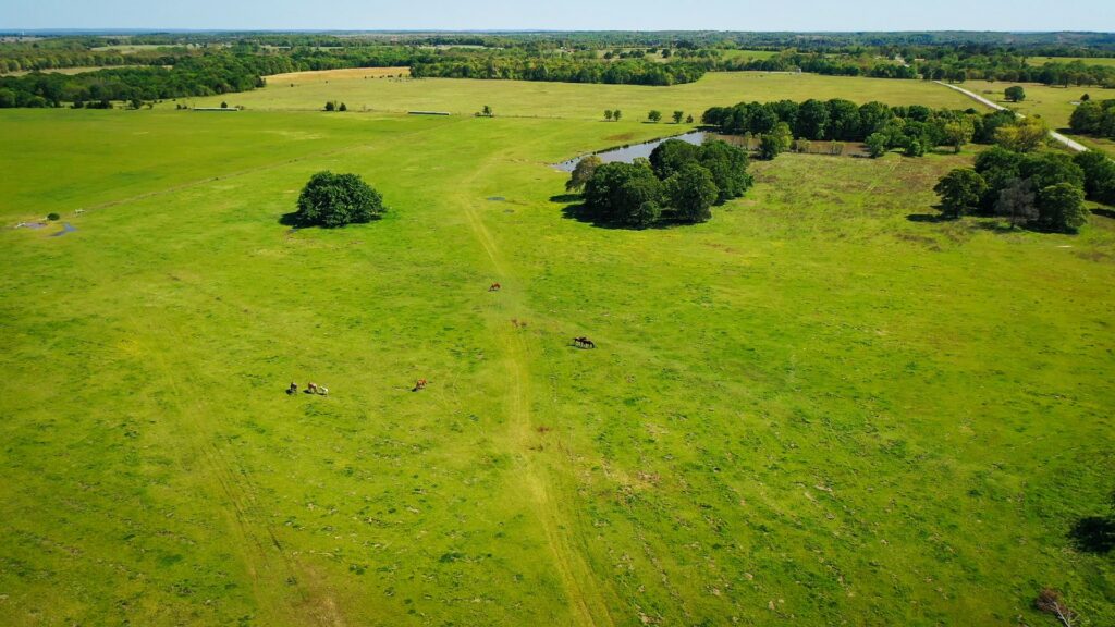 Farm & Ranch with Hunting Land For Sale in Hughes County