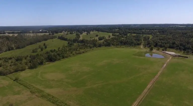 Productive Cattle Ranch For Sale in South Central MO