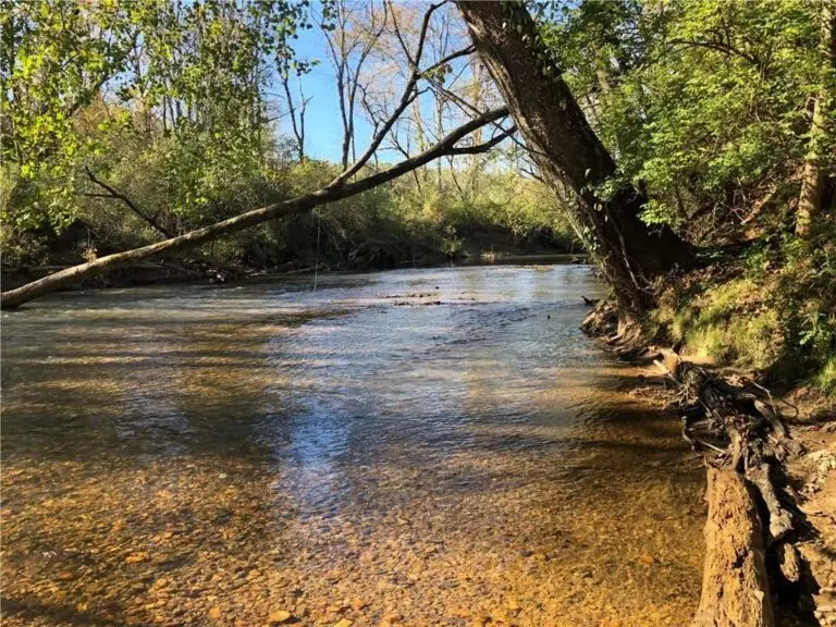 Live Water Hunting & Recreational Ranch For Sale in Pickens County