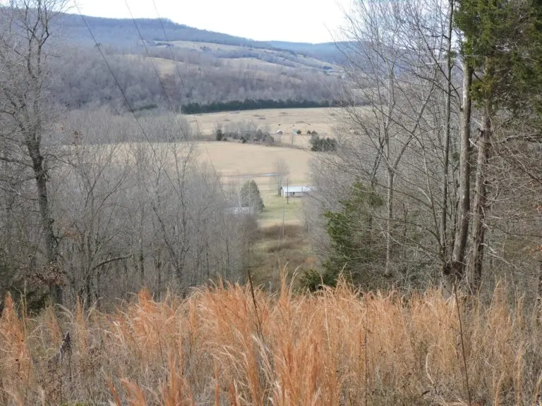 Ozark Mountain Farm & Hunting Land For Sale in Alpena