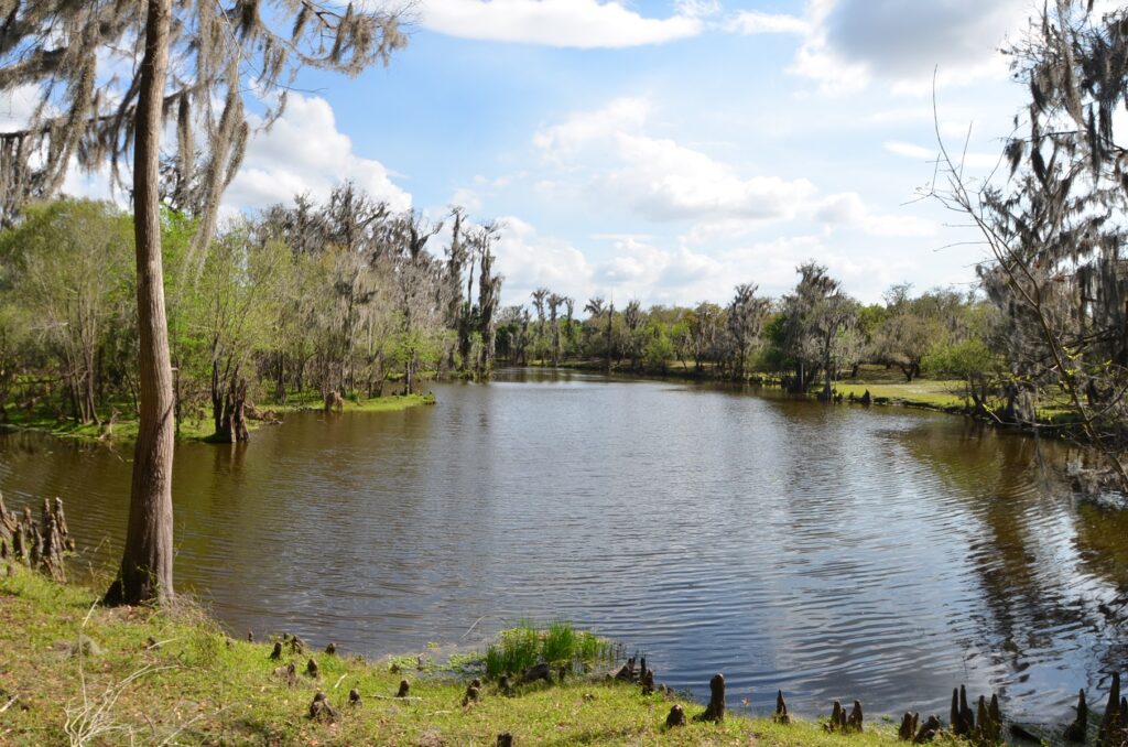 Peace River Hunting & Recreational Ranch For Sale in DeSoto County