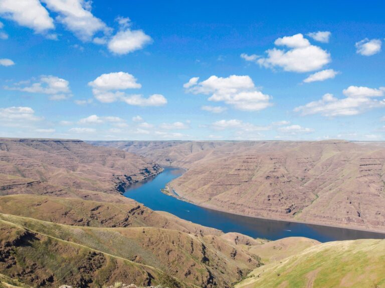 Snake River Cattle Ranch & Hunting Land For Sale in Clarkston