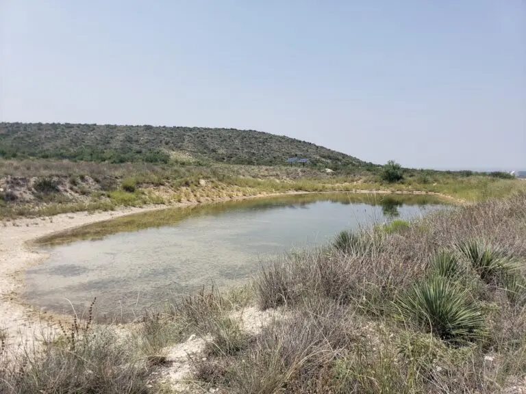 Ranch Land with Mineral Income For Sale | Irion County