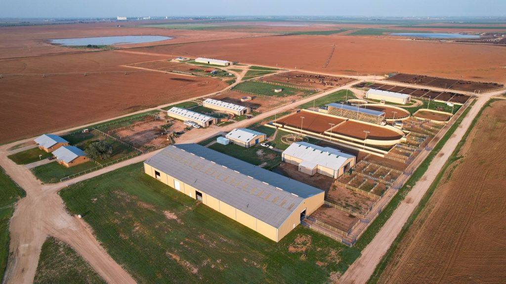 Parmer County