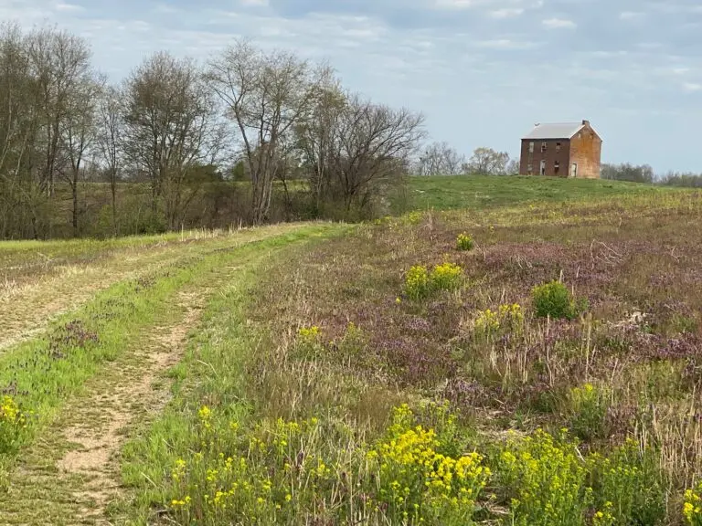 farm in campbellsville
