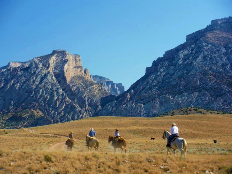 Cattle Ranch & Hunting Land For Sale in Big Horn County