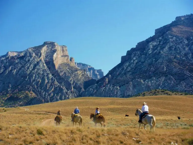 Cattle Ranch & Hunting Land For Sale in Big Horn County