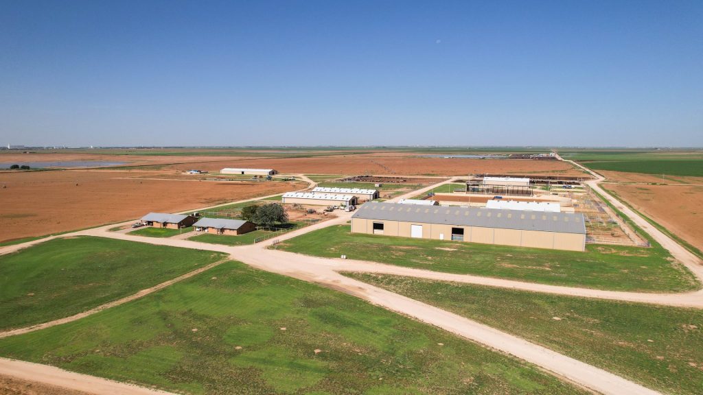 10-Parmer-County-TX-Equine-Training-Facility-and-Land-For-Sale