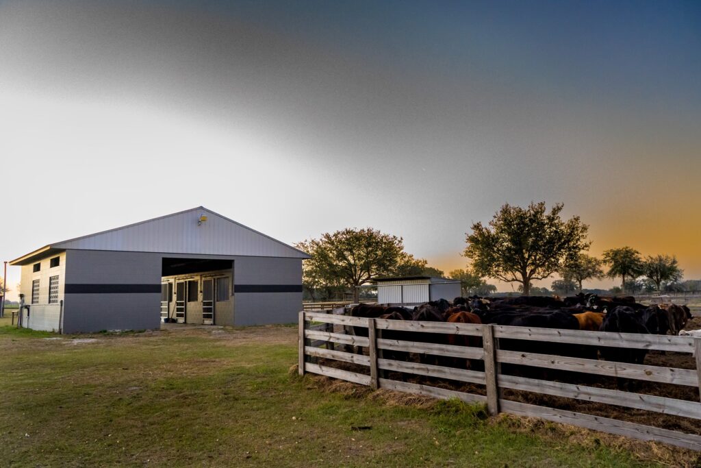 a farm