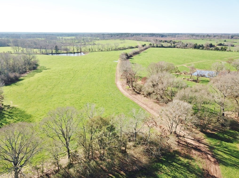 MS Cattle Ranch & Hunting Land For Sale