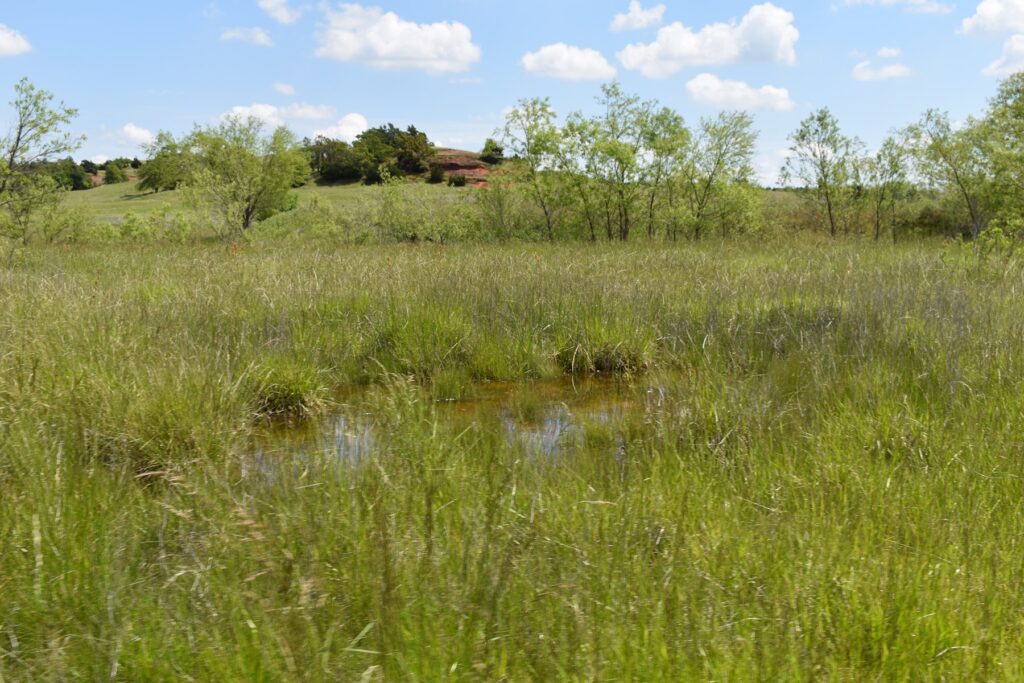 23-Caddo-County-OK-Farm-and-Ranch-with-Land