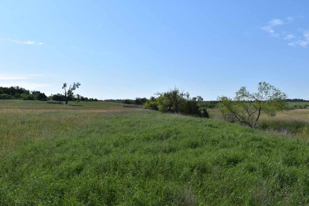 24-Caddo-County-OK-Farm-and-Ranch-with-Land