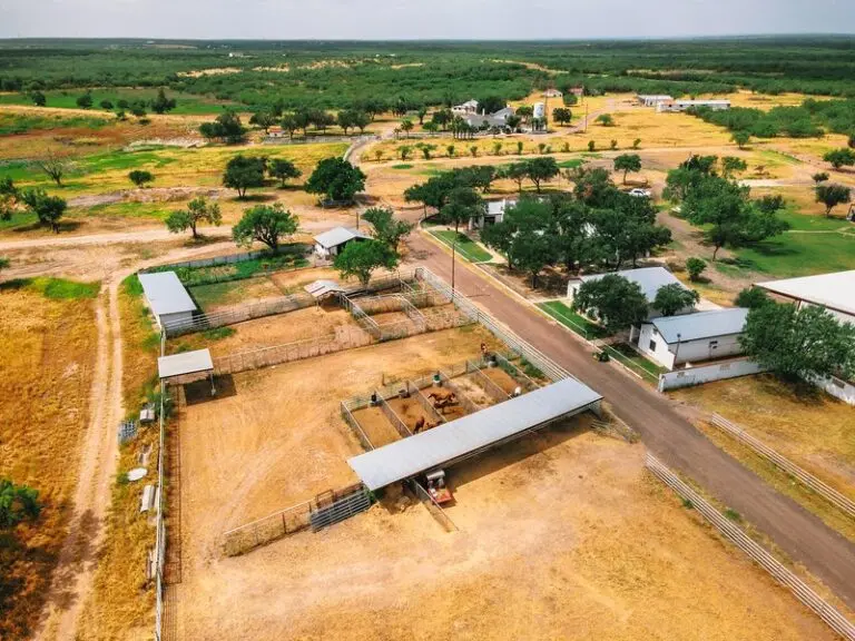 Turnkey Horse Ranch with Four Homes For Sale in Laredo