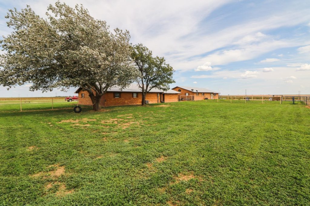 26-Parmer-County-TX-Equine-Training-Facility-and-Land-For-Sale