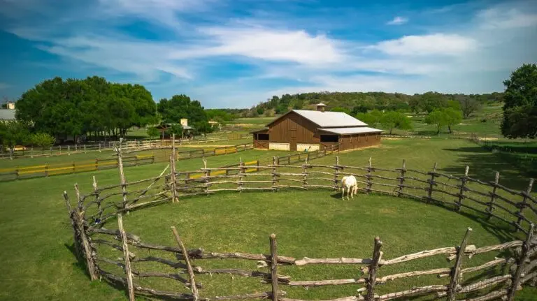 Live Water Horse Ranch For Sale in Gillespie County TX