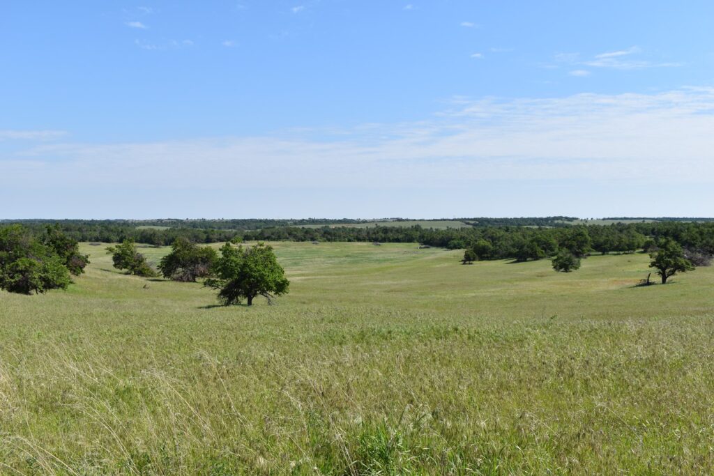 7-Caddo-County-OK-Farm-and-Ranch-with-Land
